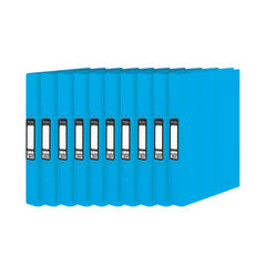 View more details about Pukka Brights Ringbinder A4 Blue (Pack of 10)