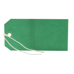 View more details about Green 120 x 60mm Strung Tags (Pack of 1000)