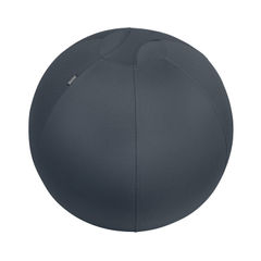 View more details about Leitz Ergo Cosy Active Sitting Ball Velvet Grey