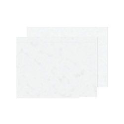 GoSecure C4 Document Enclosed Envelopes, Pack of 500 | BLK71875