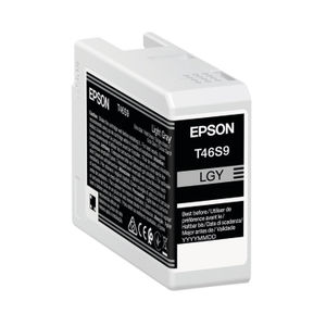 Epson T46S9 25ml Light Grey UltraChrome Pro 10 Ink - C13T46S900