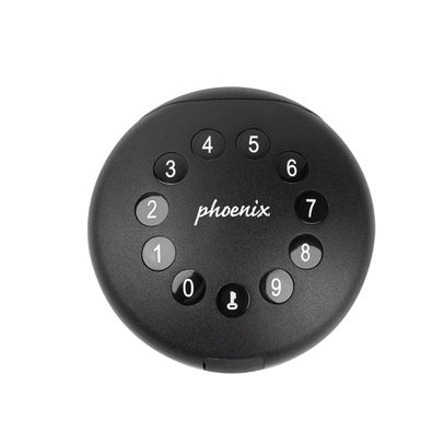 Phoenix Palm Smart Black Key Safe