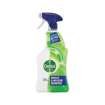 Dettol Mould and Mildew Remover 750ml