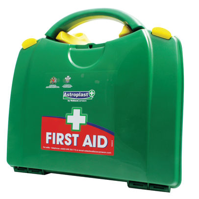 Wallace Cameron 10 Person Green Box First Aid Kit