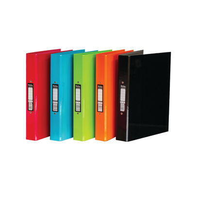 Pukka Brights A4 Assorted Ringbinders (Pack of 10)