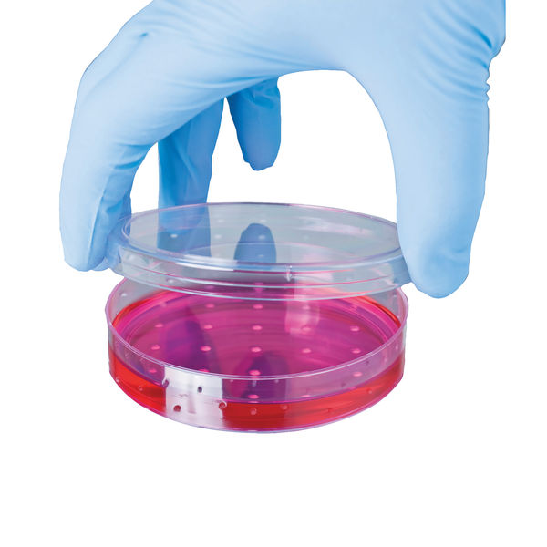 Shield Powder-Free Nitrile Gloves Small Blue (100 Pack) GD19