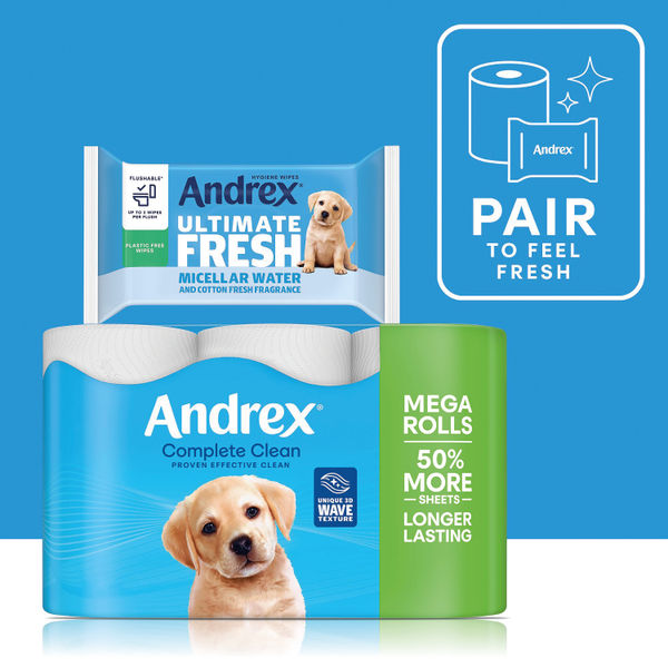 Andrex Complete Clean Mega Toilet Roll 2-Ply 290 Sheets Per Roll (Pack of 12) 4982014