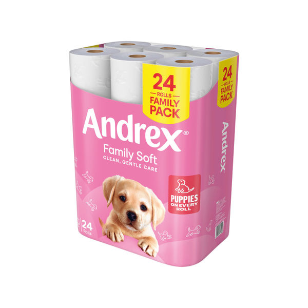 Andrex Family Toilet Roll 2-Ply 170 Sheets Per Roll (Pack of 24) 4978918