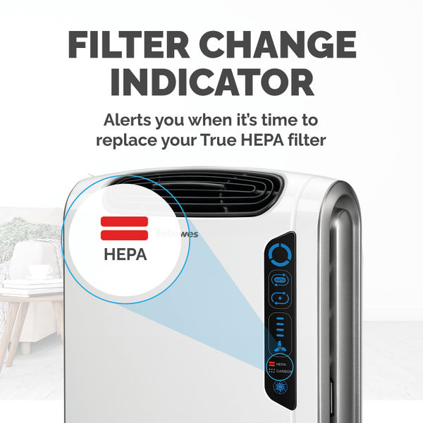 Fellowes DX55 Medium True HEPA Filter 9287101
