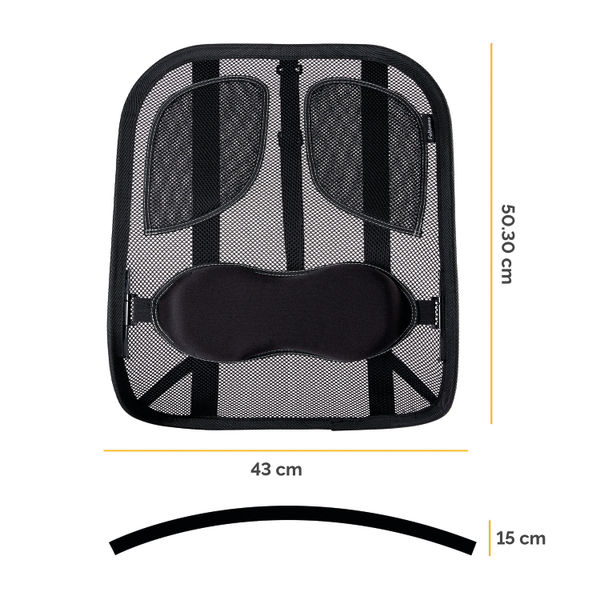 Fellowes Professional Series Mesh Back Support Black 8029901