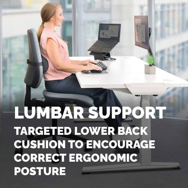 Fellowes Lumbar Cushion Black 100119853
