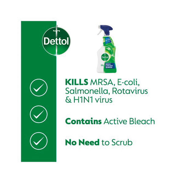 Dettol Mould and Mildew Remover 750ml 71815