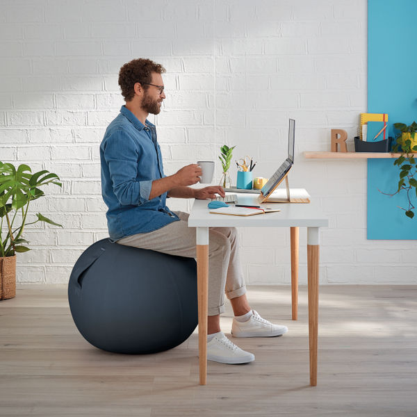 Leitz Ergo Cosy Active Sitting Ball Velvet Grey 52790089