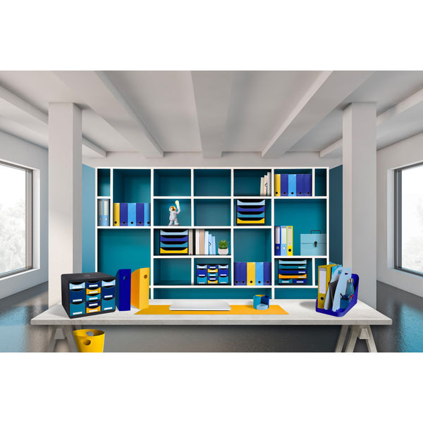 Exacompta Bee Blue Magazine Files Recycled Set of 4 Assorted 18202SETD