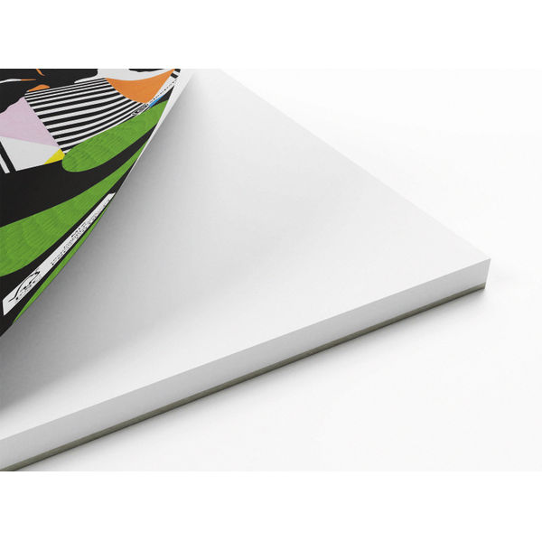 Silvine Artgecko Paint Pad 250gsm 30 Sheets A4 GEC009
