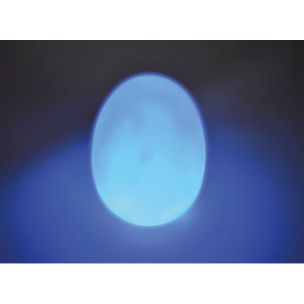LED Sensory Light Up Egg Mood Light Battery Operated 90mm (Pack of 4) SCCE4