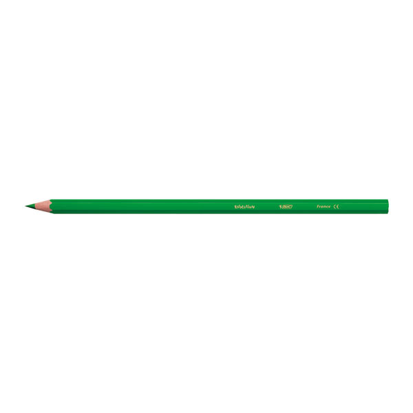 Bic Kids Evolution Ecolutions Colouring Pencils Assorted (Pack of 12) 829029
