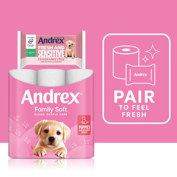 Andrex Family Toilet Roll 2-Ply 170 Sheets Per Roll (Pack of 24) 4978918