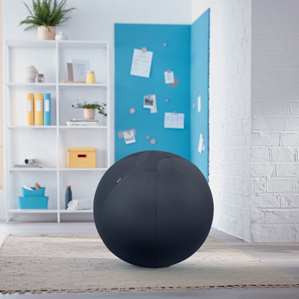 Leitz Ergo Cosy Active Sitting Ball Velvet Grey 52790089