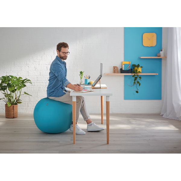 Leitz Ergo Cosy Active Sitting Ball Calm Blue 52790061