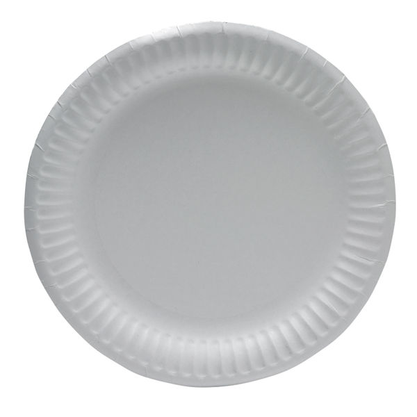 Paper Plate 9 Inch White (100 Pack) 0511041