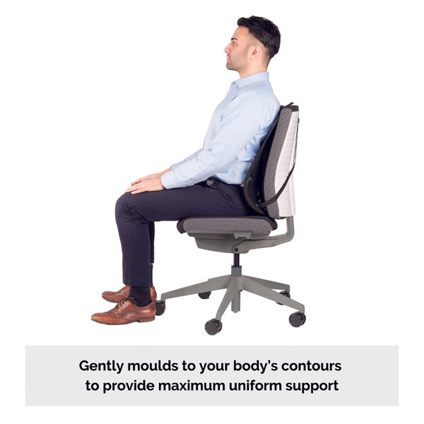 Fellowes lumbar shop support