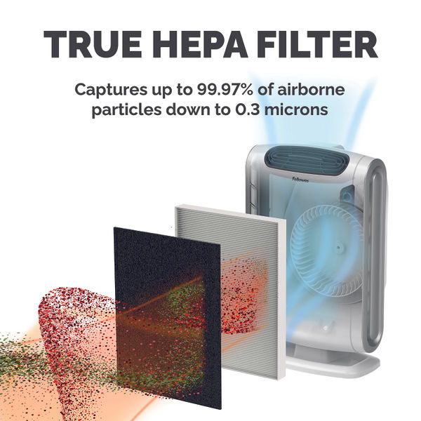 Fellowes AeraMax DX95 Large True HEPA Filter 9287201