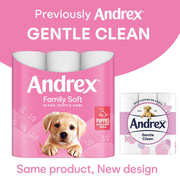 Andrex Family Soft Toilet Roll 2-Ply 170 Sheets Per Roll 6x4 (Pack of 24) 4490863