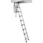 Telesteps