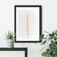 Minimal Pampas Grass on White Art Print Black Frame | Bombinate Minimal Pampas Grass on White Art Print Black Frame | Bombinate