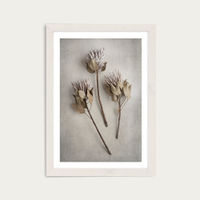 Everlasting 4 Art Print White Frame | Bombinate Everlasting 4 Art Print White Frame | Bombinate