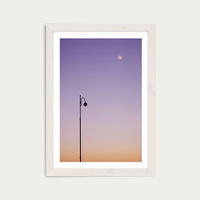 Moonlight Art Print White Frame | Bombinate Moonlight Art Print White Frame | Bombinate