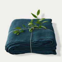 Deep Water Washed Linen Bed Set | Bombinate