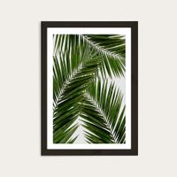Palm Leaf III Art Print Black Frame | Bombinate Palm Leaf III Art Print Black Frame | Bombinate
