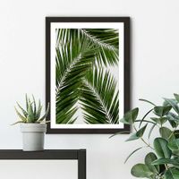 Palm Leaf III Art Print Black Frame | Bombinate Palm Leaf III Art Print Black Frame | Bombinate