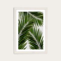 Palm Leaf III Art Print White Frame | Bombinate Palm Leaf III Art Print White Frame | Bombinate