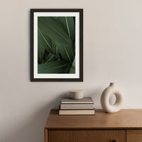Minimal Plants Art Print Black Frame | Bombinate Minimal Plants Art Print Black Frame | Bombinate