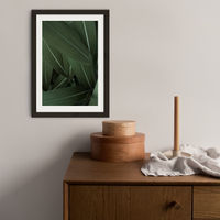 Minimal Plants Art Print Black Frame | Bombinate Minimal Plants Art Print Black Frame | Bombinate
