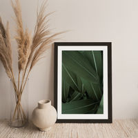 Minimal Plants Art Print Black Frame | Bombinate Minimal Plants Art Print Black Frame | Bombinate