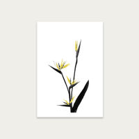 Flower Minimal Black and Gold 5 Art Print Unframed | Bombinate Flower Minimal Black and Gold 5 Art Print Unframed | Bombinate