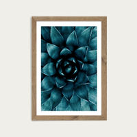 Cactus No 9 Art Print Oak Frame | Bombinate Cactus No 9 Art Print Oak Frame | Bombinate