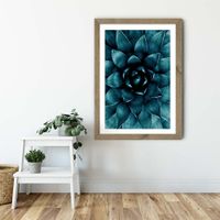Cactus No 9 Art Print Oak Frame | Bombinate Cactus No 9 Art Print Oak Frame | Bombinate