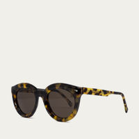 Beige Tortoise Vivid Sunglasses | Bombinate Beige Tortoise Vivid Sunglasses | Bombinate