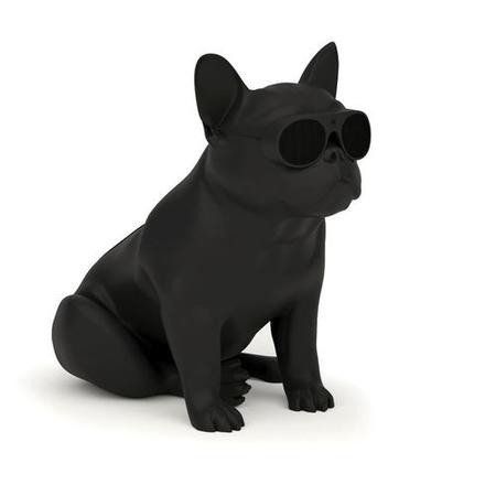 aerobull xs