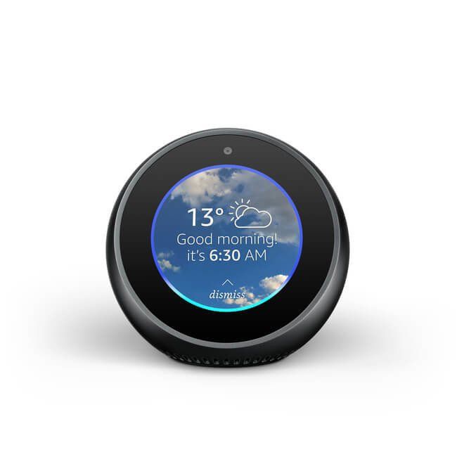 echo spot black