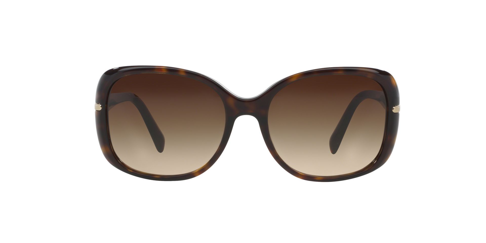 prada sunglasses havana brown