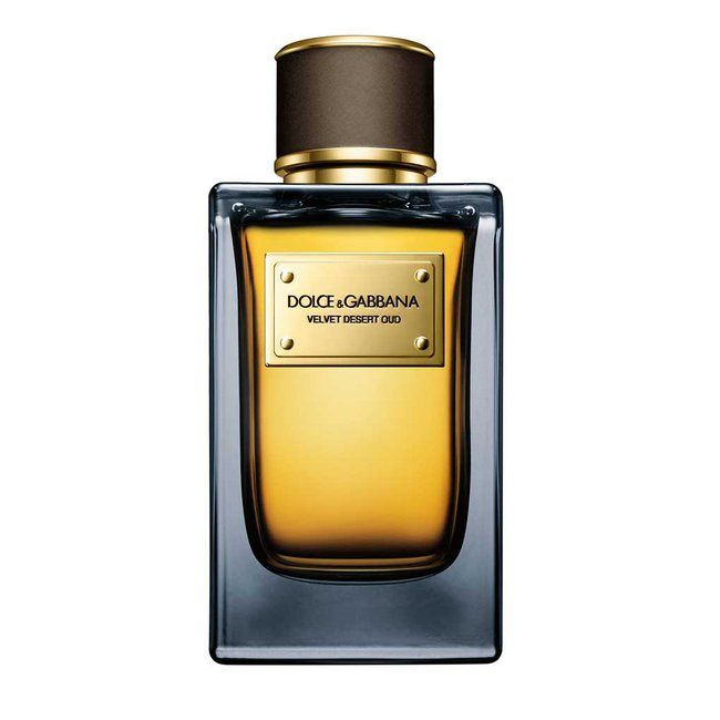velvet desert oud by dolce & gabbana