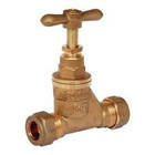 Bath Waste & Overflow with Mushroom Spring Metal Plug