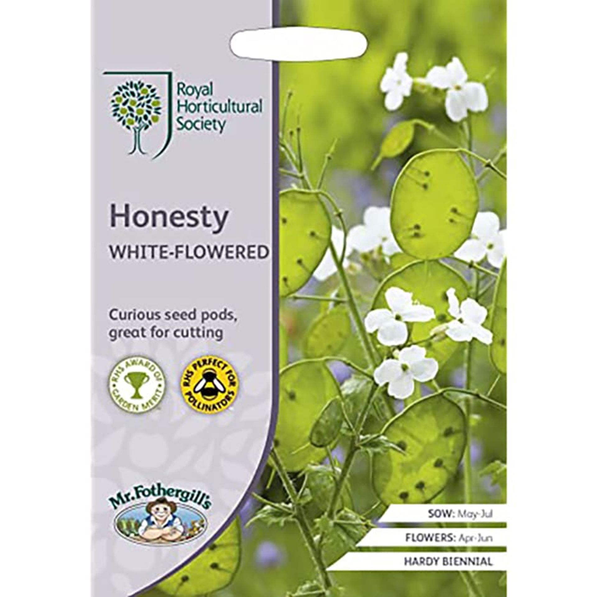 Mr Fothergills RHS White-flowered Honesty Seeds