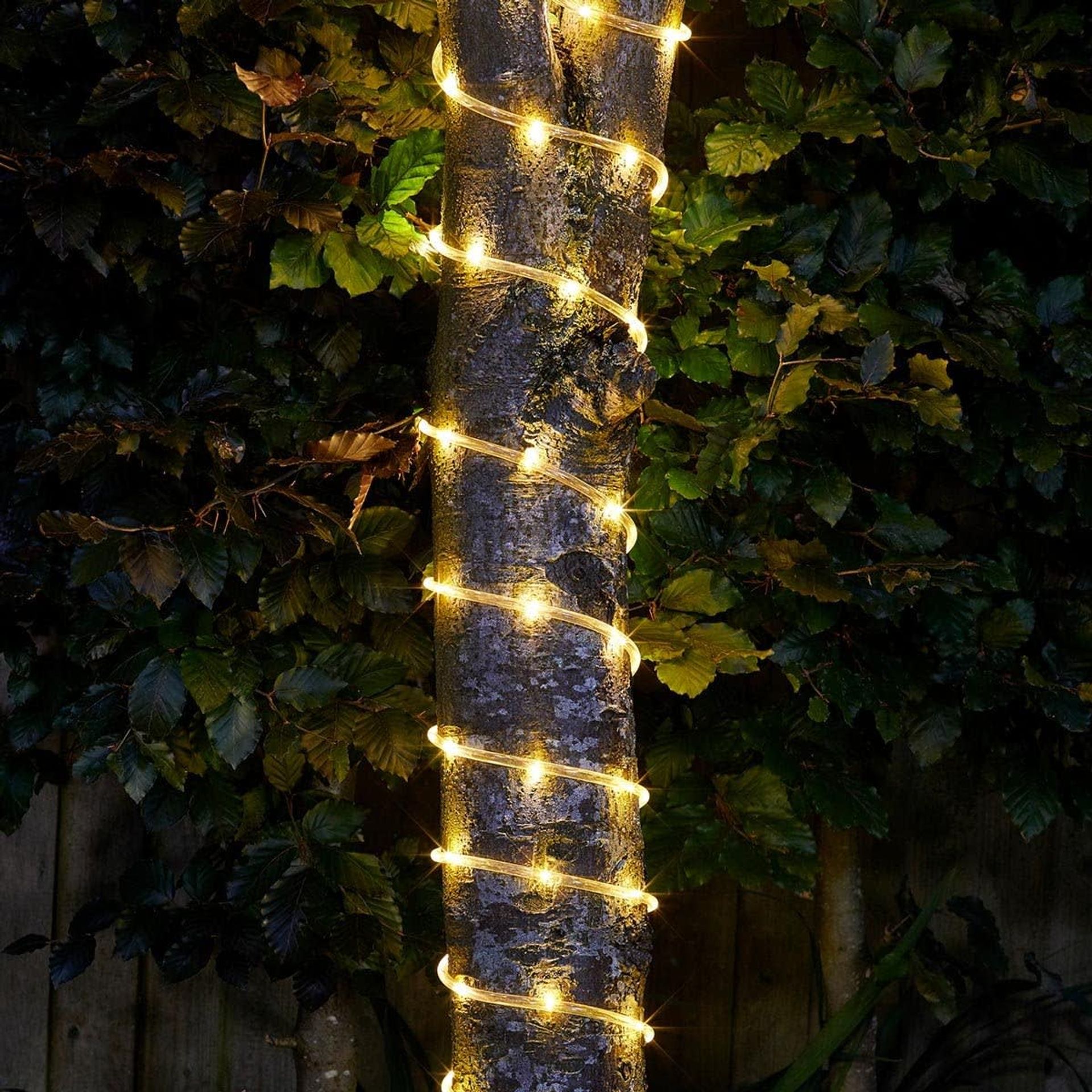100 LEDS Rope Light
